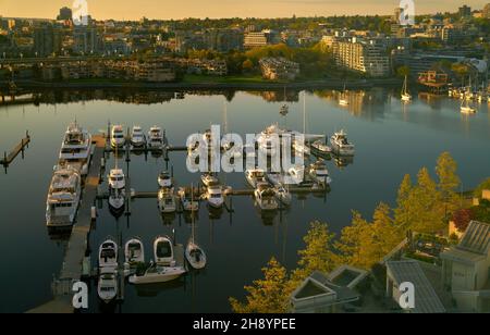 Morgenlicht False Creek Marina. False Creek bei Sonnenaufgang in Vancouver. British Columbia, Kanada. Stockfoto