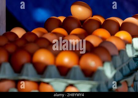 9. November 2021, Medina von Fez, Fes, USA: Kleine Früchte, Gemüse und Fleisch werden auf dem offenen Markt in der blauen Stadt Medina von Fez, Marokko, Afrika, verkauft. (Bild: © Walter G Arce SR Grindstone Medi/ASP über ZUMA Press Wire) Stockfoto