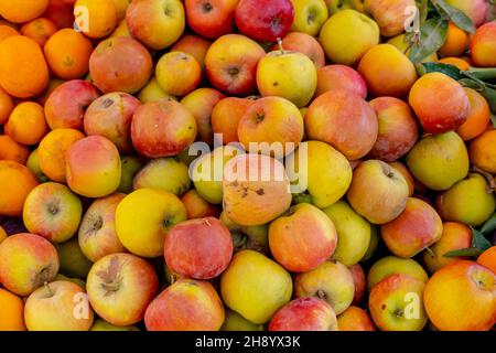 9. November 2021, Medina von Fez, Fes, USA: Kleine Früchte, Gemüse und Fleisch werden auf dem offenen Markt in der blauen Stadt Medina von Fez, Marokko, Afrika, verkauft. (Bild: © Walter G Arce SR Grindstone Medi/ASP über ZUMA Press Wire) Stockfoto