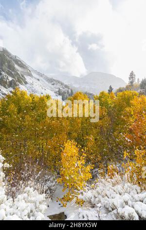 Herbstfarben und frischer Schnee im Lundy Canyon Stockfoto