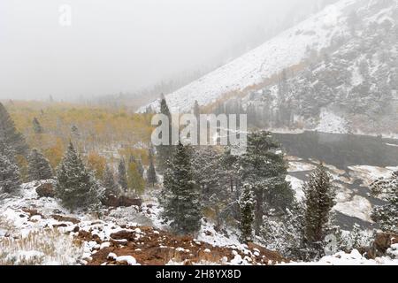 Schneesturm im Lundy Canyon über Herbstfarben Stockfoto