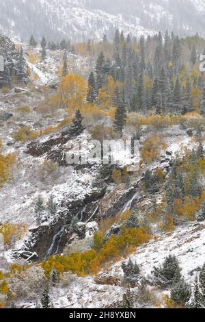 Lundy Canyon Wasserfall mit Schnee und Herbstfarben umgeben Stockfoto