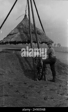 Polska, 1947. Gospodarstwo rolne. Zbiornik na kiszonkê przykrywany s³omian¹ os³on¹. bb/gr PAP Dok³adny miesi¹c i dzieñ wydarzenia nieustalone. Polen, 1947. Ein Silagebehälter auf einem Bauernhof mit Strohmantel überdacht. bb/gr PAP Stockfoto