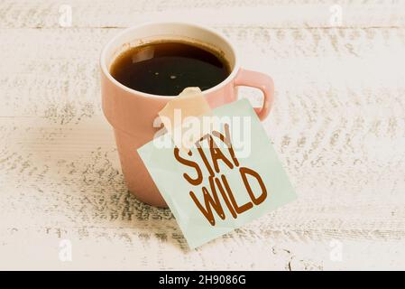 Handschrift Text Stay Wild. Konzept Bedeutung Keep being you and doing what you re doing will nie ändern New Coffee Shop Ideas Writing important Stockfoto