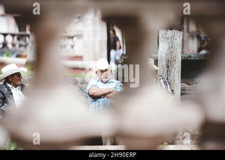 ZACATECAS, MEXIKO - 01. Apr 2018: Eine selektive Aufnahme mexikanischer Männer mit weißen Hüten, die auf einer Bank sitzen Stockfoto