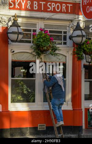 Fensterputzer, der auf einer Leiter steht und die Außenwehen eines traditionellen Pubs in london reinigt, Fenster, Fensterputzer, Sky und bt Sports Pub reinigt Stockfoto