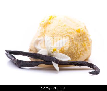 Eine Kugel Vanilleeis, verziert mit einer Vanilleschote Stockfoto