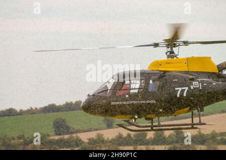 Eurocopter AS-350BB Eichhörnchen HT1 der DHFS - Defence Helicopter Flying School - Landung auf gesägter Wiese, die eine Wolke aus Steckstaub aufwarf Stockfoto