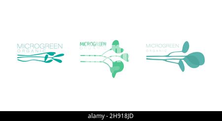 Satz von floristischen Logos für Mikrogrüns, Symbole von Bio-Produkten. Mini-Pflanzen für die Keimung. Vektor trendige flache Illustrationen für Design. Stock Vektor