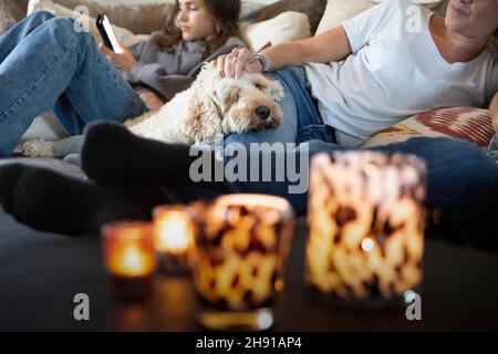 Hund, der im Wohnzimmer auf dem Bein der Frau liegt Stockfoto