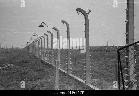 Oœwiêcim, 1947-04. Obóz konzentracyjny Auschwitz - Birkenau. NZ. Ogrodzenie. kw PAP/Stanis³aw D¹browiecki Dok³adny dzieñ wydarzenia nieustalony. Oswiecim, April 1947. Das Todeslager Auschwitz-Birkenau. Im Bild: Ein Zaun. kw PAP/Stanislaw Dabrowiecki Stockfoto