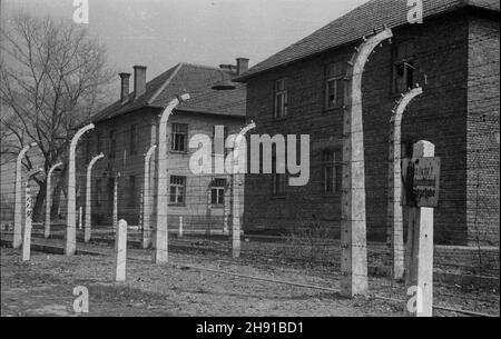 Oœwiêcim, 1947-04. Obóz konzentracyjny Auschwitz - Birkenau. NZ. Bloki mieszkalne. kw PAP Dok³adny dzieñ wydarzenia nieustalony. Oswiecim, April 1947. Das Todeslager Auschwitz-Birkenau. Abgebildet: Wohnblöcke. kw PAP Stockfoto