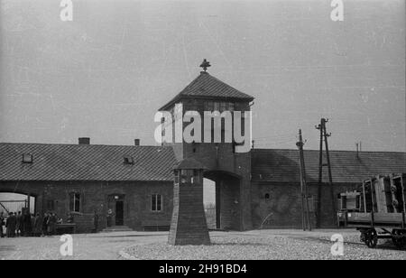 Oœwiêcim, 1947-04. Obóz konzentracyjny Auschwitz - Birkenau. NZ. brama g³ówna i Wartownia. kw PAP/Stanis³aw D¹browiecki Dok³adny dzieñ wydarzenia nieustalony. Oswiecim, April 1947. Das Todeslager Auschwitz-Birkenau. Im Bild: Das Haupttor und der Wachsaal. kw PAP/Stanislaw Dabrowiecki Stockfoto