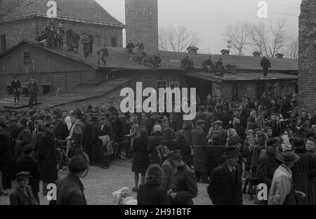 Oœwiêcim, 1947-04. Obóz konzentracyjny Auschwitz - Birkenau. NZ. t³um oczekuj¹cy na egzekucjê Rudolfa Hoessa na terenie obozu. kw PAP/Stanis³aw D¹browiecki Dok³adny dzieñ wydarzenia nieustalony. Oswiecim, April 1947. Das Todeslager Auschwitz-Birkenau. Im Bild: Eine Menschenmenge, die im Lager auf die Hinrichtung von Rudolf Hoess wartet. kw PAP/Stanislaw Dabrowiecki Stockfoto