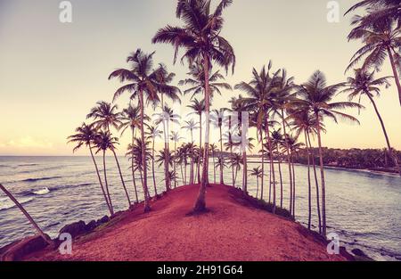 Retro getöntes Bild einer tropischen Insel mit Kokospalmen bei Sonnenaufgang, Sri Lanka. Stockfoto