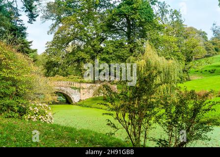 Herbst in den Gärten von Minterne. Ein Dorset Landgarten. Stockfoto