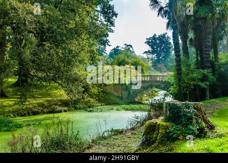 Herbst in den Gärten von Minterne. Ein Dorset Landgarten. Stockfoto