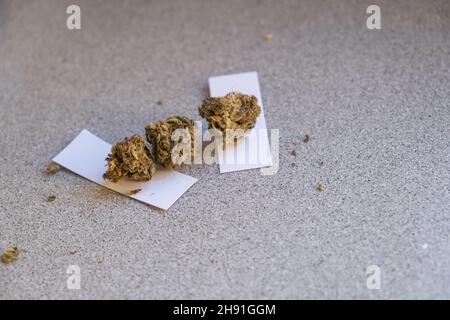 Blütenknospen Cannabis, Marihuana, Unkraut Draufsicht copy space close up. Stockfoto