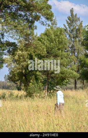 Eine weibliche Wanderin im östlichen Pretoria Südafrika mit Bäumen in der Nähe von Wiesen und einem blauen Himmel mit Wolken im Hintergrund an einem hellen sonnigen Tag mit hohen g Stockfoto