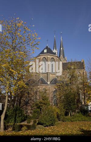 Hoch aufragende holländische Kirche über herbstbunten Bäumen vor einem klaren blauen Himmel in der ländlichen holländischen Religion Stockfoto
