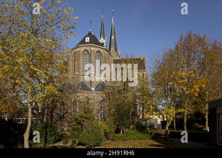 Hoch aufragende holländische Kirche über herbstbunten Bäumen vor einem klaren blauen Himmel auf dem Land Stockfoto
