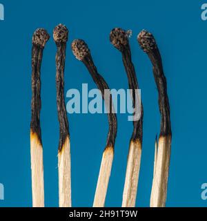 Künstlerische Aufnahme von kürzlich verbrannten Streichhölzer vor blauem Hintergrund. Stockfoto