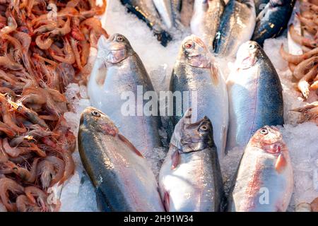 Frisch gefangener Fisch auf der Theke auf dem Fischmarkt Stockfoto