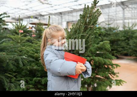 Kleines Mädchen wählt einen Weihnachtsbaum auf dem Markt. Stockfoto