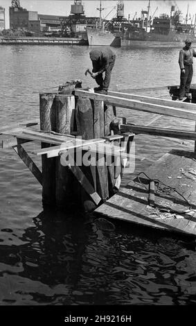 Gdynia, 1947-05. Anschluss. PRACE przy wzmacnianiu i odbudowie nabrze¿a.. NZ. robotnik wzmacnia blass, wbite w dno basenu portowego. Dok³adny dzieñ wydarzenia nieustalony. bk/ak PAP Gdynia, Mai 1947. Der Port. Die Pier Rekonstruktion und Verstärkung arbeiten. Im Bild: Arbeiter verstärken in das Dock gehämmerte Säulen. bk/ak PAP Stockfoto