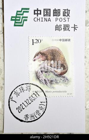 CHINA - UM 2021: Eine in China gedruckte Marke zeigt 2021-28 Wildtiere, chinesische Pangolin, um 2021. Stockfoto