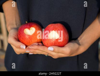Weibliche Hände halten zwei große rote Äpfel, auf denen Herzen geschnitzt sind. Köstliche Ernte, gesunde Ernährung Lebensmittel, Vitamine, Bio-Äpfel. Überraschung für eine Liebe Stockfoto