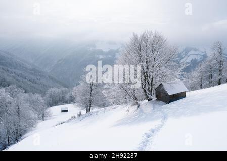 Winterlandschaft mit Spuren im Schnee zur Hütte in einem verschneiten Bergwald Stockfoto