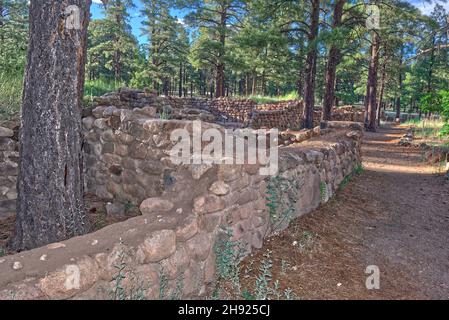 Elden Pueblo in Flagstaff AZ ist der Ort eines alten Sinagua-Dorfes, das von etwa 1070 bis 1275 n. Chr. bewohnt wurde. Die Website ist für das öffentliche Jahr ro geöffnet Stockfoto