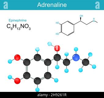 Adrenalin-molekulare chemische Strukturformel und Modell eines Adrenalin-Hormons. Vektorgrafik Stock Vektor