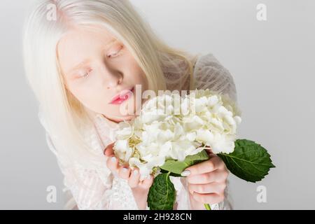 Draufsicht auf Albino-Modell in Bluse mit Hortensienblüte isoliert auf weiß Stockfoto