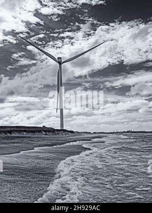 Schwarz-Weiß-Bild einer Windturbine an der Küste von Hanstholm, Dänemark Stockfoto