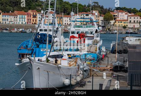 Luftaufnahme von Port Vendres Stadt mit seiner Kirche und Trawler am Dock, Mittelmeer, Roussillon, Pyrenees Orientales, Vermilion Küste, Frankreich Stockfoto