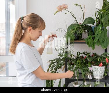 Junge weibliche Bewässerungspflanzen und Blumen auf dem Balkon. Grüner Daumengärtner, der sich um Topfpflanzen gepflanzt hat Stockfoto