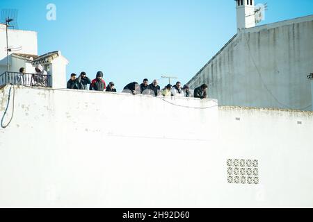 Malaga, Spanien. 02nd Dez 2021. Velez CF Fans gesehen während des Copa del Rey Spiels zwischen Vélez CF und UD Las Palmas im Estadio Vivar Téllez.Endstand; Velez CF 2:3 UD Las Palmas. Kredit: SOPA Images Limited/Alamy Live Nachrichten Stockfoto