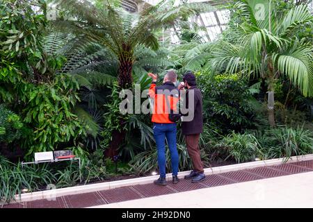 Besucher Menschen Männer zurück Blick auf Bäume und Pflanzen, die im gemäßigten Haus in Kew Gardens wachsen London England Großbritannien November 2021 KATHY DEWITT Stockfoto