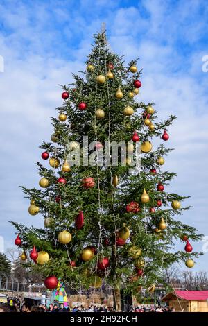 Bukarest, Rumänien - 28. November 2021: Großer geschmückter grüner Baum auf dem Weihnachtsmarkt im Drumul Taberei Park (Parcul Drumul Taberei), bekannt als Moghioro Stockfoto