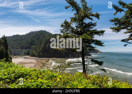 Cape Cove Blick vom Heceta Head Lighthouse Park, Pacific Northwest, Oregon, USA Stockfoto