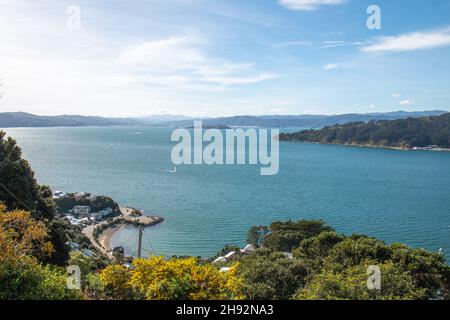 Blick über Balaena Bay und Evans Bay von Roseneath in Wellington, Neuseeland Stockfoto