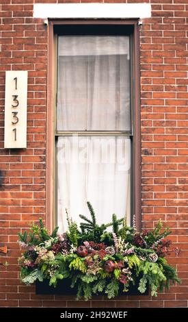Fensterrahmen Anordnung gefüllt mit Winter saisonalen Blumen und Pflanzen volle Fenster Stockfoto