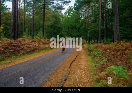 Ein Mann fährt auf einer Straße in Bolderwood im New Forest National Park, Brockenhurst, Hampshire, England, Großbritannien Stockfoto