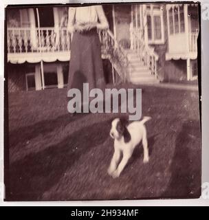 Vintage verblasste aus dem Fokus Fotografie von Haustier Hund läuft rund Garten, Englisch, anonym, 1910s Stockfoto