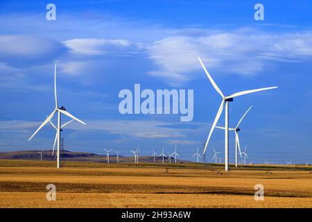 Windenergie oder Windenergie ist die Nutzung von Windenergieanlagen zur Stromerzeugung. Windenergie ist eine beliebte, nachhaltige, erneuerbare Energiequelle. Stockfoto