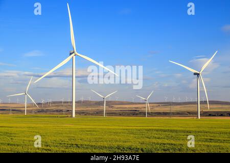 Windenergie oder Windenergie ist die Nutzung von Windenergieanlagen zur Stromerzeugung. Windenergie ist eine beliebte, nachhaltige, erneuerbare Energiequelle. Stockfoto