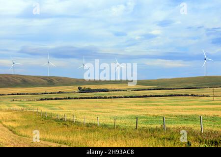 Windenergie oder Windenergie ist die Nutzung von Windenergieanlagen zur Stromerzeugung. Windenergie ist eine beliebte, nachhaltige, erneuerbare Energiequelle. Stockfoto