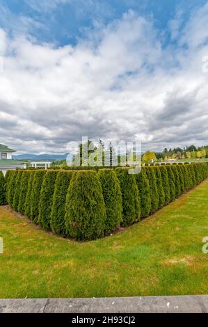 Olson Mansion und Golfplatz in Lake Wilderness, Washington. Stockfoto